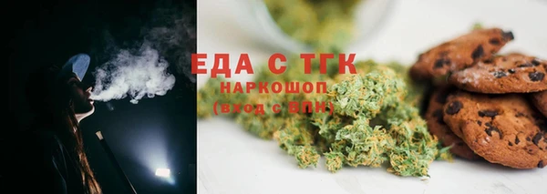 хмурый Алексин