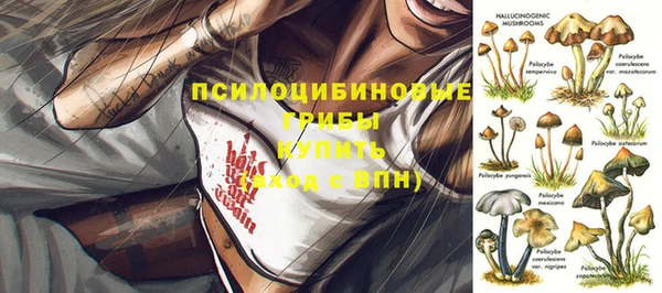 хмурый Алексин