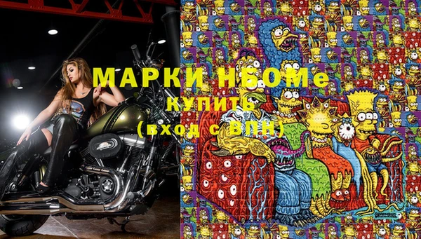 хмурый Алексин