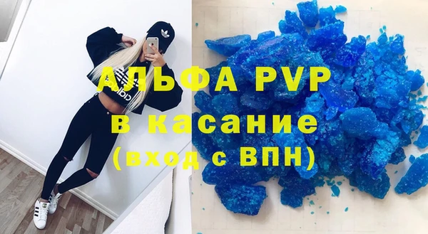 хмурый Алексин